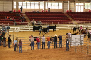 Cover photo for WNC Jr Beef Spring Fling