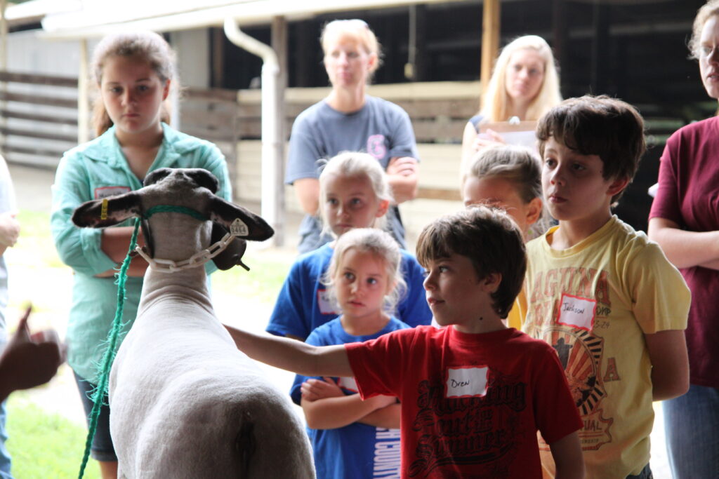 Children with goat