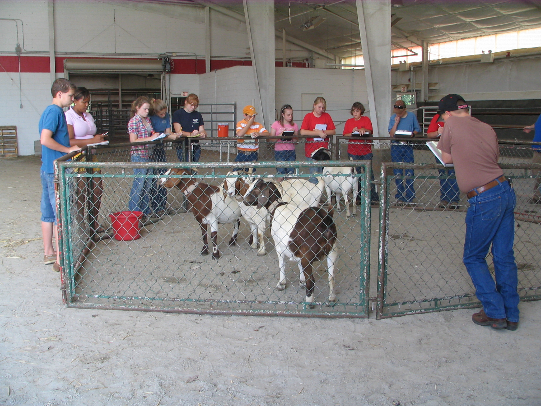 A group of students study goats in a pin.