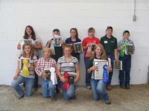 Cover photo for State 4-H Livestock Events